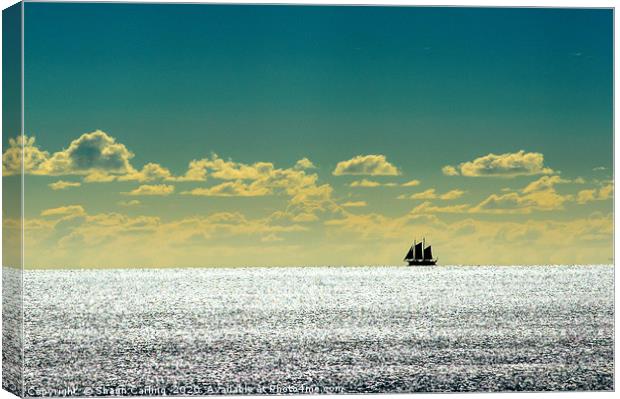 Sailboat Silhouette Canvas Print by Shaun Carling