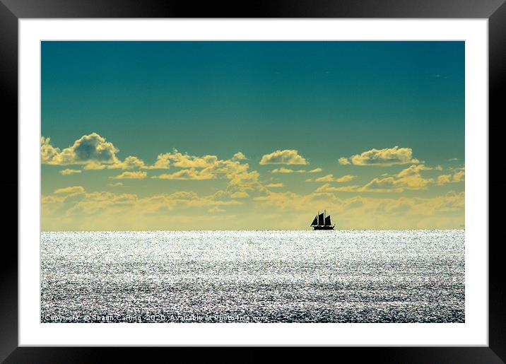 Sailboat Silhouette Framed Mounted Print by Shaun Carling