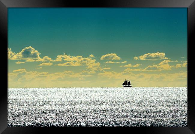 Sailboat Silhouette Framed Print by Shaun Carling