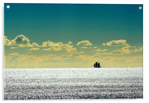 Sailboat Silhouette Acrylic by Shaun Carling
