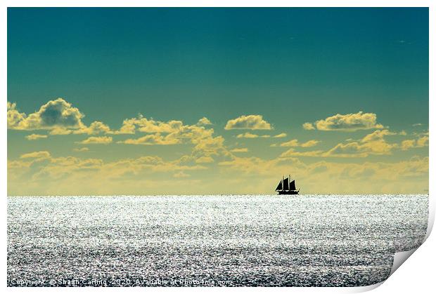 Sailboat Silhouette Print by Shaun Carling