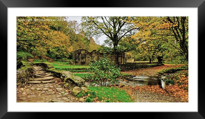 Wycoller Packhorse bridge Framed Mounted Print by Diana Mower