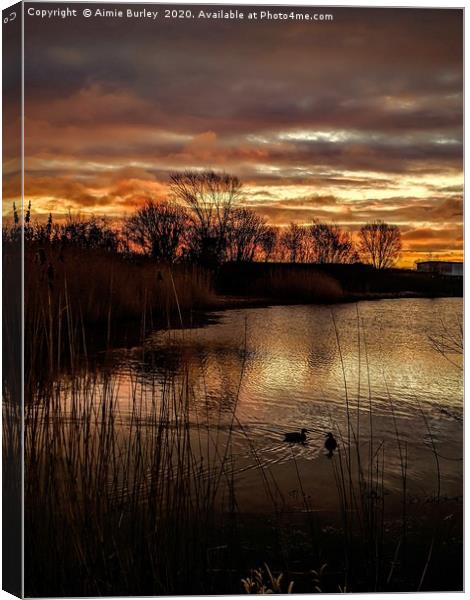 Killingworth Lake Canvas Print by Aimie Burley