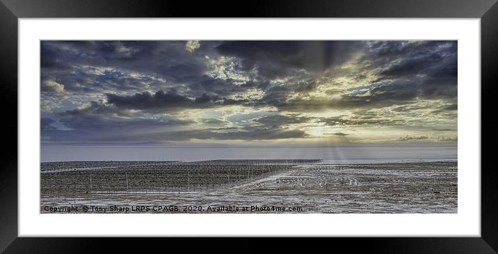 OYSTER BEDS WHITSTABLE Framed Mounted Print by Tony Sharp LRPS CPAGB