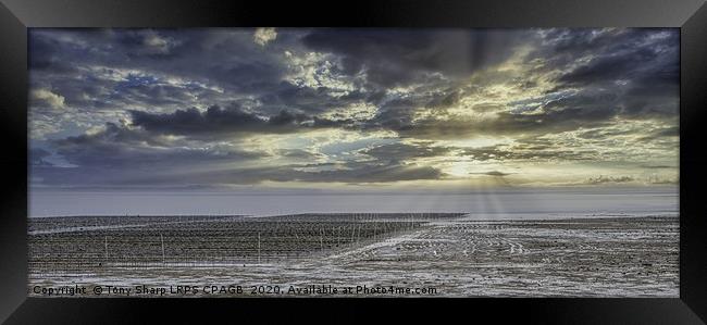 OYSTER BEDS WHITSTABLE Framed Print by Tony Sharp LRPS CPAGB