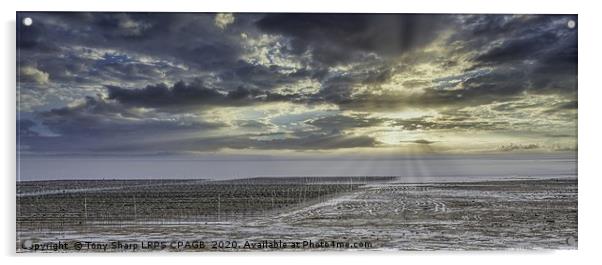 OYSTER BEDS WHITSTABLE Acrylic by Tony Sharp LRPS CPAGB