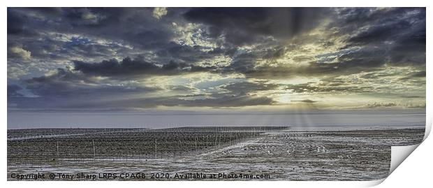 OYSTER BEDS WHITSTABLE Print by Tony Sharp LRPS CPAGB