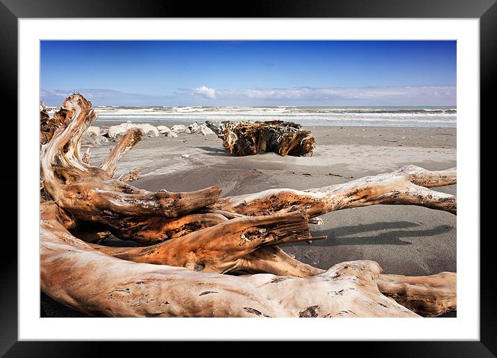 Driftwood Framed Mounted Print by Stephen Mole