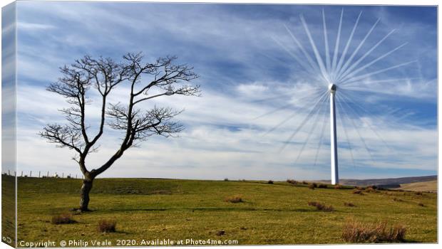 Old Tree, New Turbine. Canvas Print by Philip Veale