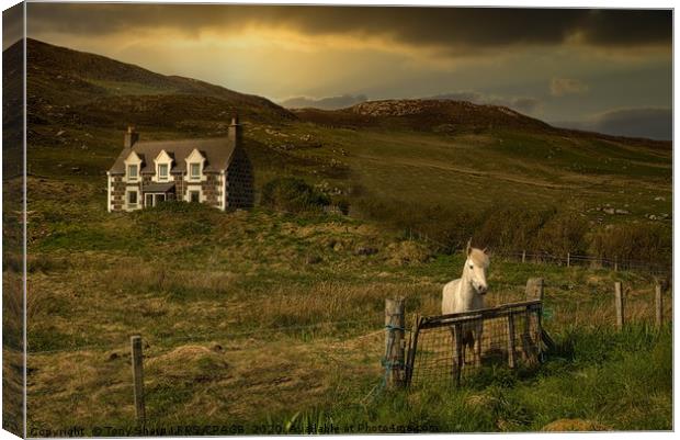 FARMSTEAD - BARRA OUTER HEBRIDES Canvas Print by Tony Sharp LRPS CPAGB