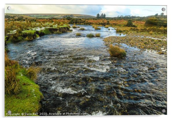 Dartmoor River Acrylic by Dave Bell
