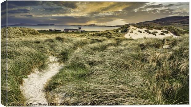 APPROACHING BARRA AIRPORT Canvas Print by Tony Sharp LRPS CPAGB