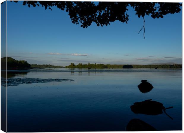 Lake of Menteith at Dusk Canvas Print by Emma Dickson