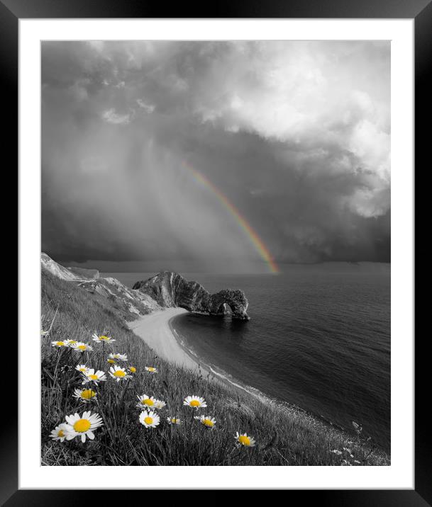 Daisies and Rainbows Framed Mounted Print by David Neighbour