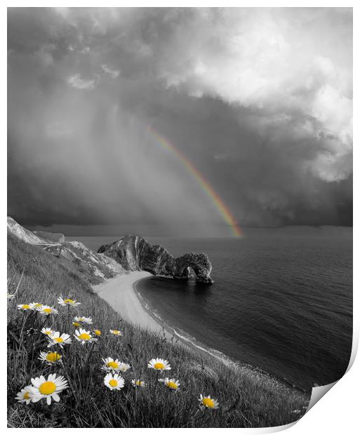 Daisies and Rainbows Print by David Neighbour