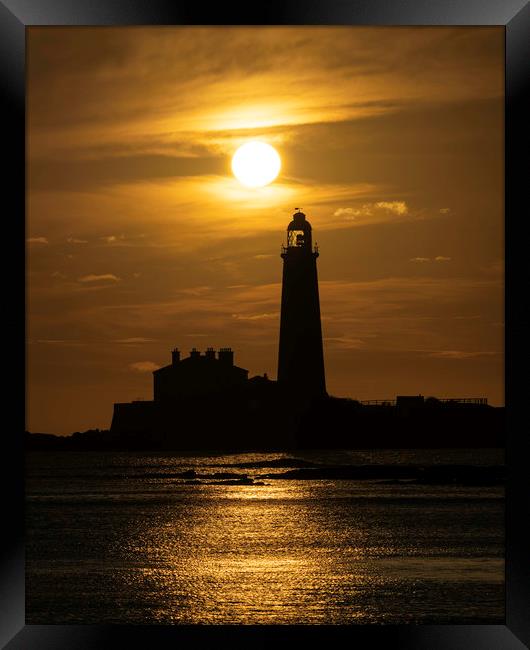 St. Mary's Lighthouse at sunrise Framed Print by Paul Appleby