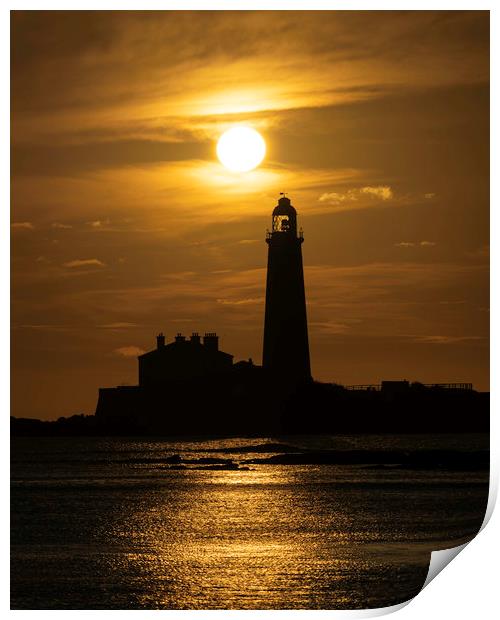 St. Mary's Lighthouse at sunrise Print by Paul Appleby