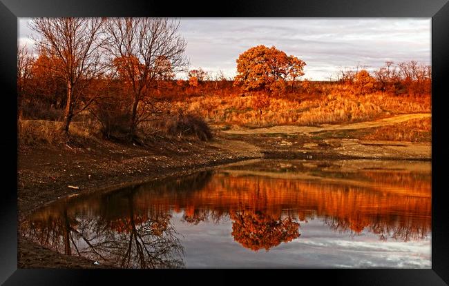 Golden hour reflection Framed Print by Martin Smith