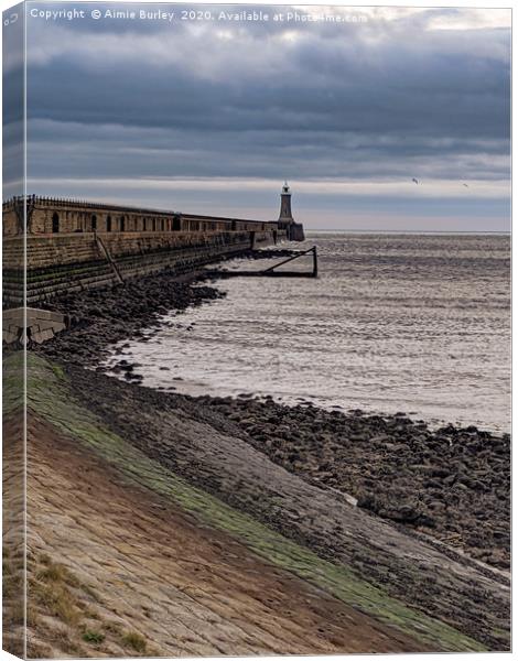 Tynemouth North Pier Canvas Print by Aimie Burley