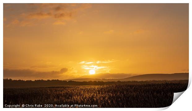 Sunrise over reedbeds from swineham point Print by Chris Rabe