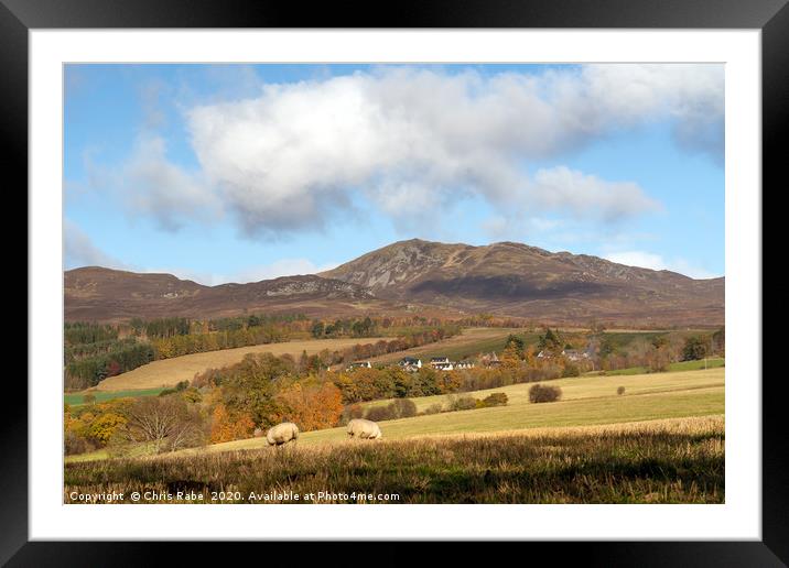 Sheep grazing in the fields with Ben Vrackie in th Framed Mounted Print by Chris Rabe