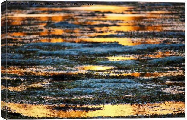 Sunset reflected in the Indian ocean, Kenya Canvas Print by Rehanna Neky