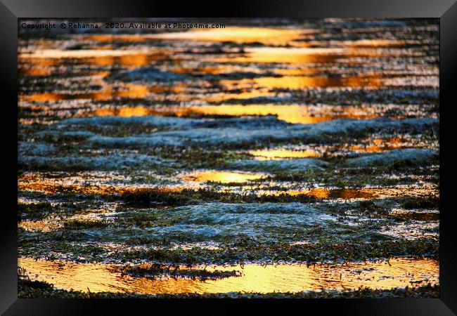 Sunset reflected in the Indian ocean, Kenya Framed Print by Rehanna Neky