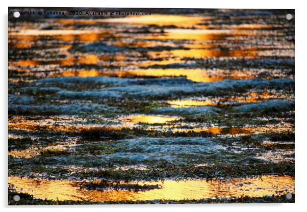 Sunset reflected in the Indian ocean, Kenya Acrylic by Rehanna Neky