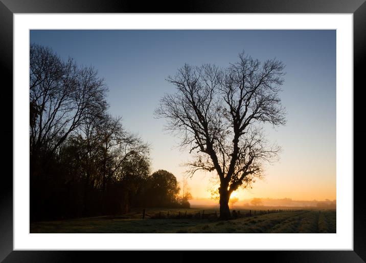 Winter sunrise Framed Mounted Print by David Wall