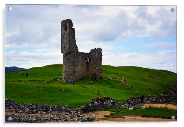 Ardvreck Castle Acrylic by Steven Watson