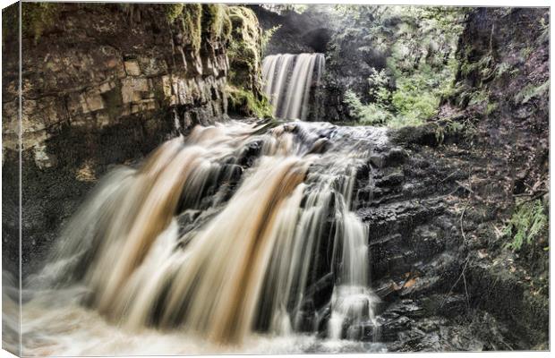 Waterfall Canvas Print by Valerie Paterson