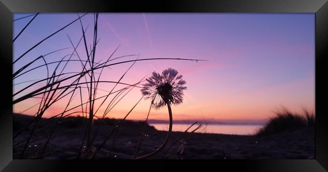 Swansea sunrise Framed Print by Duane evans