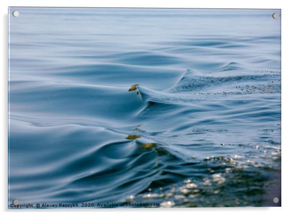 Beautiful water waves. Baltic Sea. Acrylic by Alexey Rezvykh