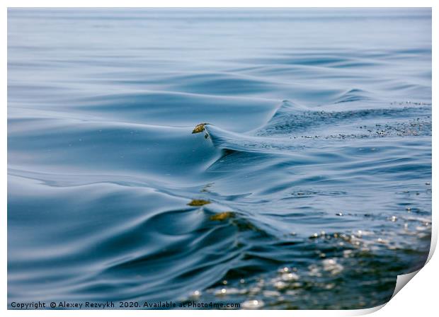 Beautiful water waves. Baltic Sea. Print by Alexey Rezvykh