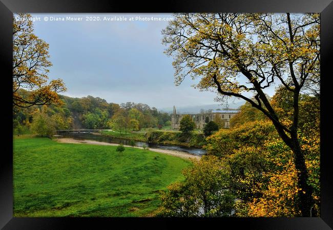 Bolton Abbey Ruins  Framed Print by Diana Mower