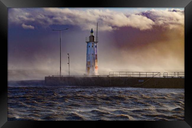 Anstruther Lighthouse Framed Print by Andrew Beveridge