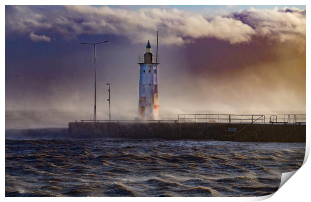 Anstruther Lighthouse Print by Andrew Beveridge