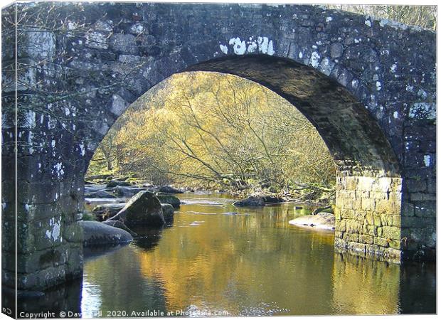 Dartmoor Bridge Arch Canvas Print by Dave Bell