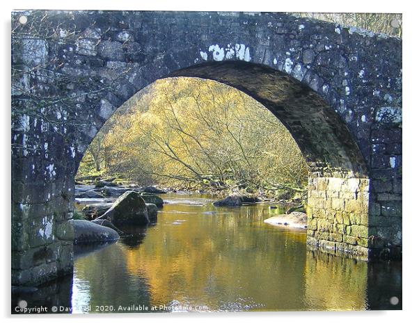 Dartmoor Bridge Arch Acrylic by Dave Bell