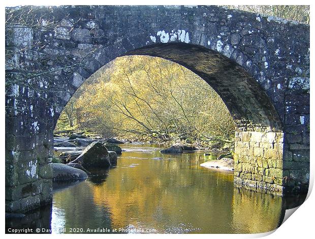 Dartmoor Bridge Arch Print by Dave Bell
