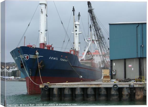 Cargo Boat Loading At Teignmouth Docks. Canvas Print by Dave Bell