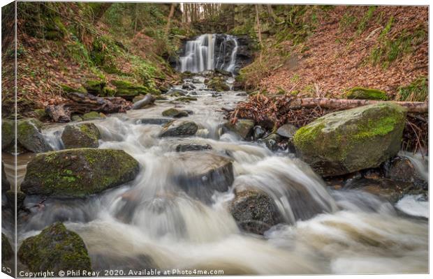 Wharnley Burn, Co Durham Canvas Print by Phil Reay