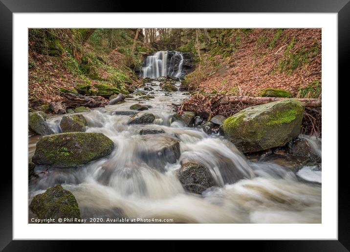 Wharnley Burn, Co Durham Framed Mounted Print by Phil Reay