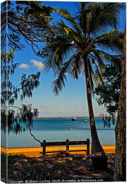 Coochie Mudlo Island Chill Out Seat Canvas Print by Shaun Carling