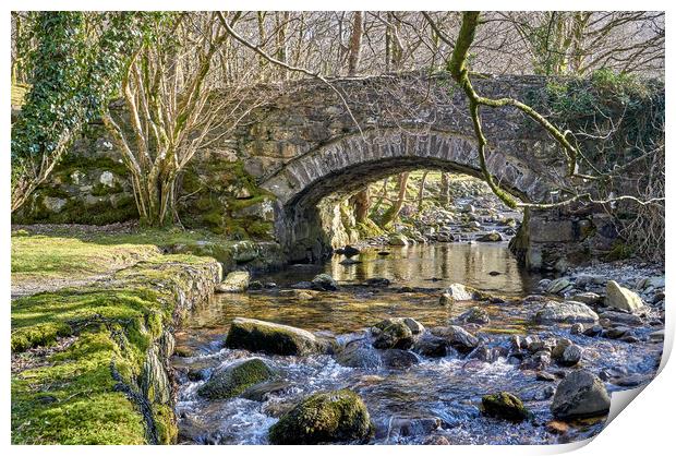An old bridge near Cader Idris Print by Gordon Maclaren