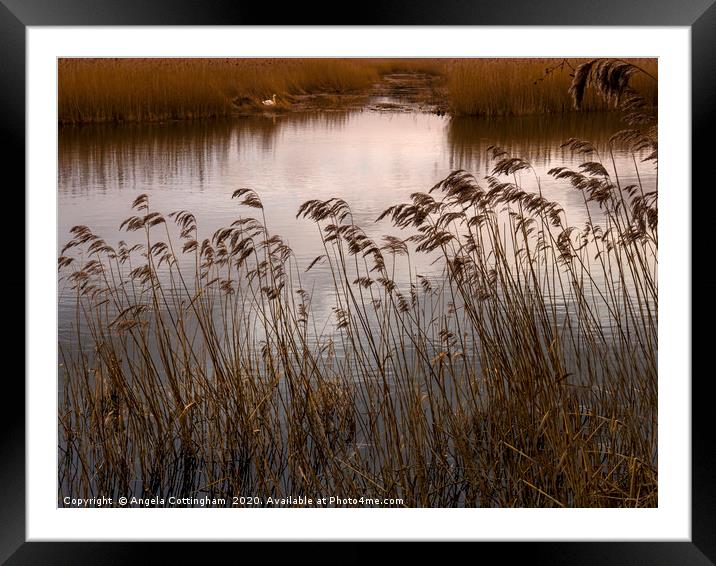 Wetlands at Far Ings Framed Mounted Print by Angela Cottingham