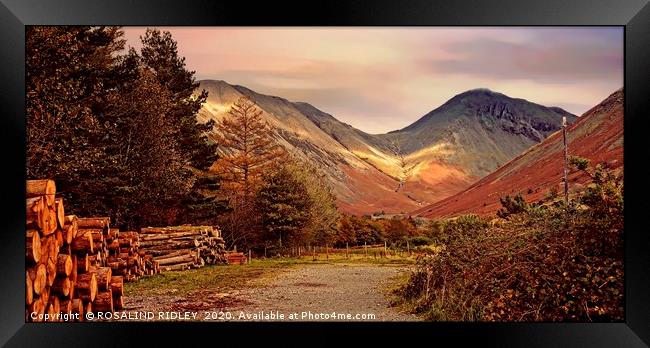 "Golden hour at Great Gable" Framed Print by ROS RIDLEY