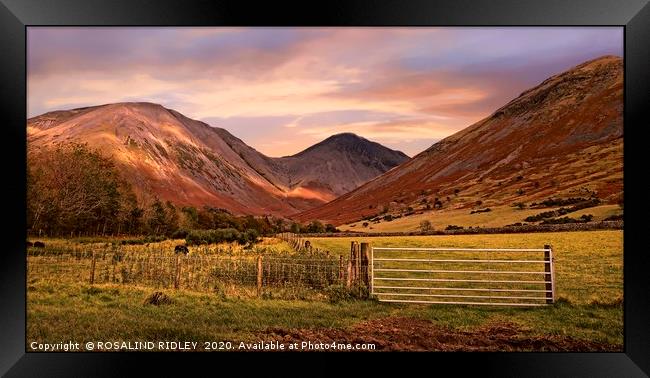 "Golden hour across the mountains" Framed Print by ROS RIDLEY