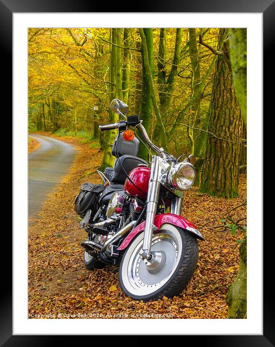 Autumn Harley Framed Mounted Print by Dave Bell