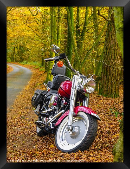 Autumn Harley Framed Print by Dave Bell